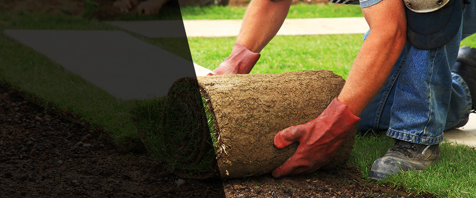 Schofield Landscapers